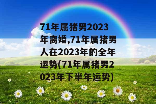 71年属猪男2023年离婚,71年属猪男人在2023年的全年运势(71年属猪男2023年下半年运势)