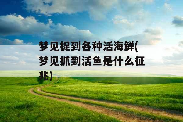 梦见捉到各种活海鲜(梦见抓到活鱼是什么征兆)