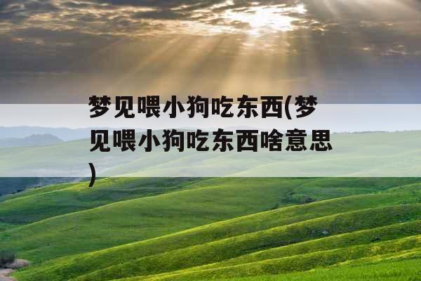 梦见喂小狗吃东西(梦见喂小狗吃东西啥意思)