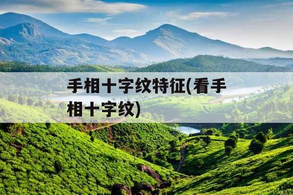 手相十字纹特征(看手相十字纹)