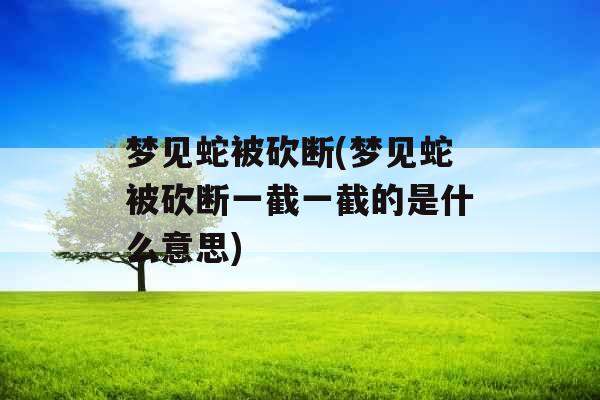 梦见蛇被砍断(梦见蛇被砍断一截一截的是什么意思)