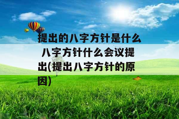 提出的八字方针是什么 八字方针什么会议提出(提出八字方针的原因)