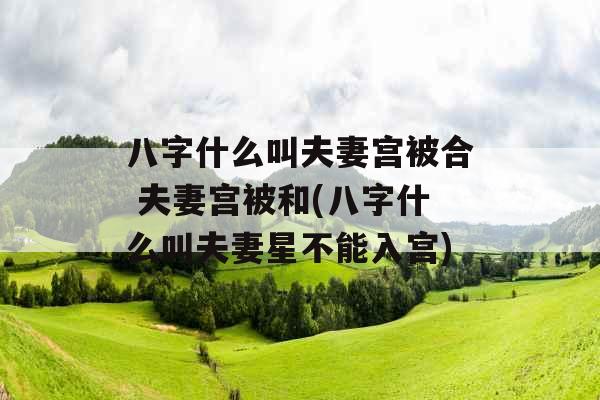 八字什么叫夫妻宫被合 夫妻宫被和(八字什么叫夫妻星不能入宫) 八字什么叫夫妻宫被合 夫妻宫被和(八字什么叫夫妻星不能入宫)
