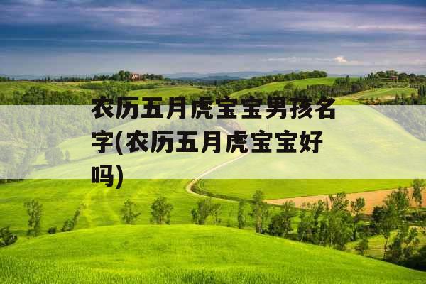 农历五月虎宝宝男孩名字(农历五月虎宝宝好吗)