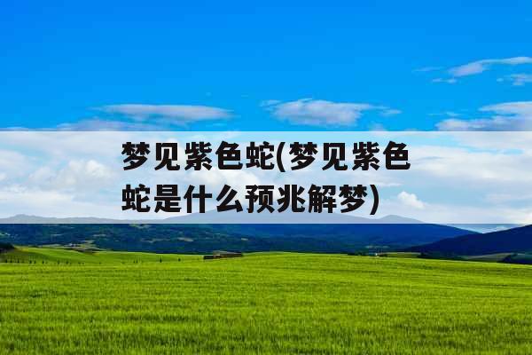 梦见紫色蛇(梦见紫色蛇是什么预兆解梦) 梦见紫色蛇(梦见紫色蛇是什么预兆解梦)
