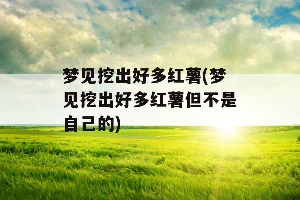 梦见挖出好多红薯(梦见挖出好多红薯但不是自己的)