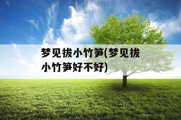 梦见拔小竹笋(梦见拔小竹笋好不好)