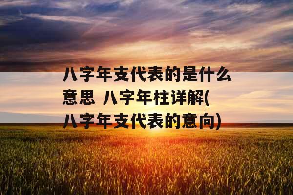 八字年支代表的是什么意思 八字年柱详解(八字年支代表的意向)