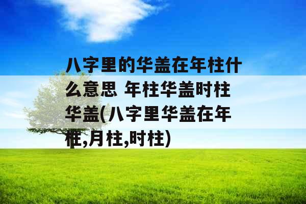八字里的华盖在年柱什么意思 年柱华盖时柱华盖(八字里华盖在年柱,月柱,时柱)