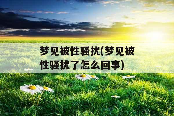 梦见被性骚扰(梦见被性骚扰了怎么回事) 梦见被性骚扰(梦见被性骚扰了怎么回事)