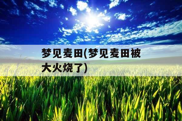 梦见麦田(梦见麦田被大火烧了) 梦见麦田(梦见麦田被大火烧了)