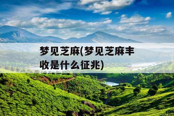 梦见芝麻(梦见芝麻丰收是什么征兆)