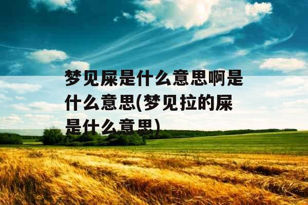 梦见屎是什么意思啊是什么意思(梦见拉的屎是什么意思)