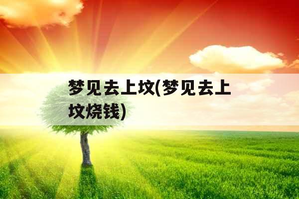 梦见去上坟(梦见去上坟烧钱)