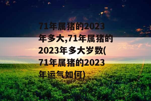 71年属猪的2023年多大,71年属猪的2023年多大岁数(71年属猪的2023年运气如何)