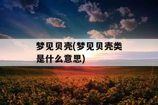 梦见贝壳(梦见贝壳类是什么意思)