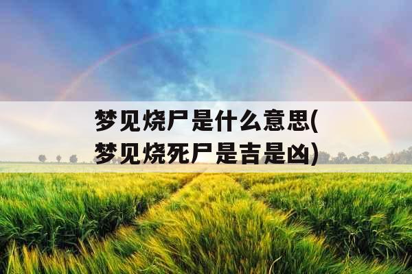 梦见烧尸是什么意思(梦见烧死尸是吉是凶)