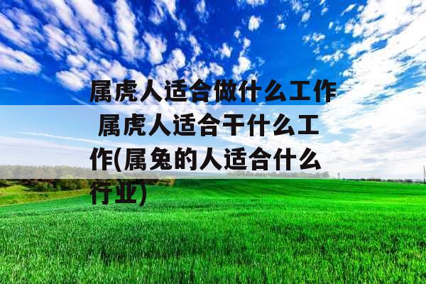 属虎人适合做什么工作 属虎人适合干什么工作(属兔的人适合什么行业)