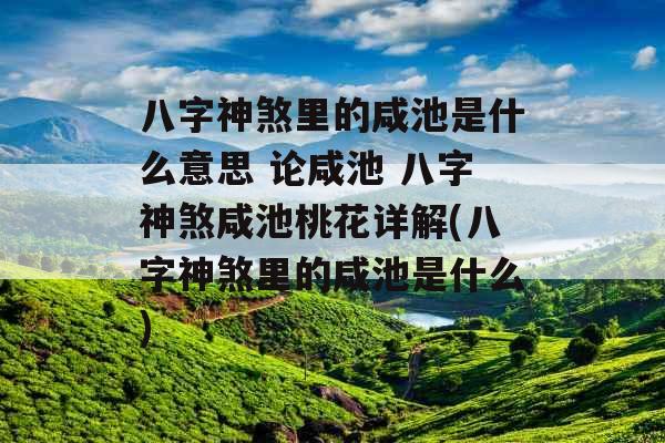 八字神煞里的咸池是什么意思 论咸池 八字神煞咸池桃花详解(八字神煞里的咸池是什么)