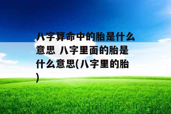 八字算命中的胎是什么意思 八字里面的胎是什么意思(八字里的胎)