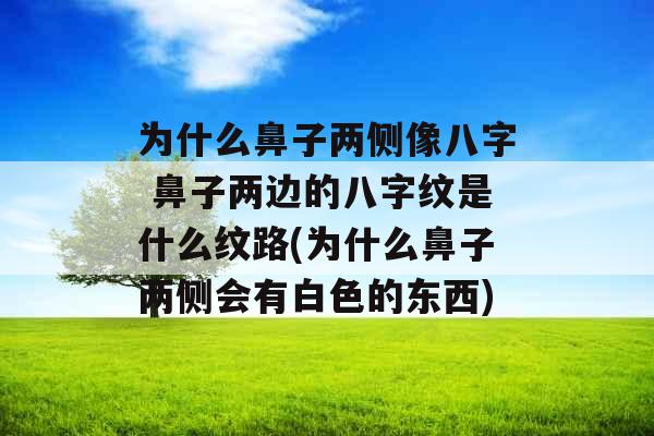 为什么鼻子两侧像八字 鼻子两边的八字纹是什么纹路(为什么鼻子两侧会有白色的东西)