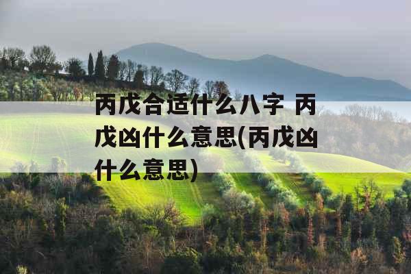 丙戊合适什么八字 丙戊凶什么意思(丙戊凶什么意思)