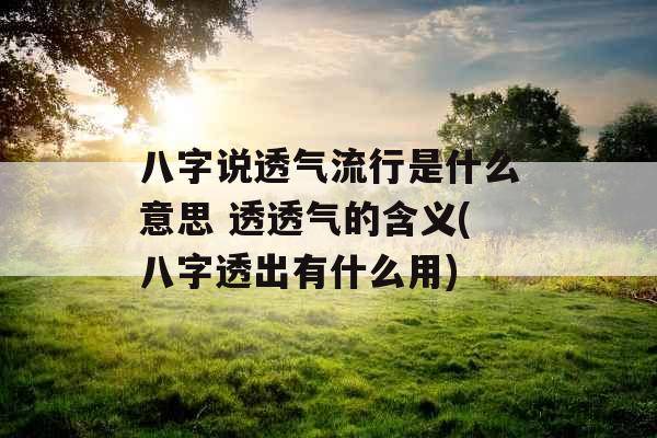 八字说透气流行是什么意思 透透气的含义(八字透出有什么用)