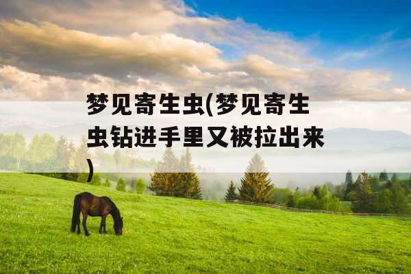 梦见寄生虫(梦见寄生虫钻进手里又被拉出来) 梦见寄生虫(梦见寄生虫钻进手里又被拉出来)