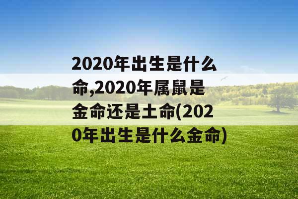 2020年出生是什么命,2020年属鼠是金命还是土命(2020年出生是什么金命)