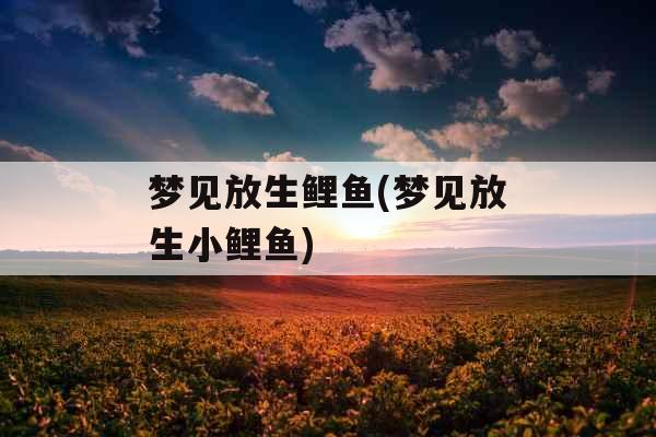 梦见放生鲤鱼(梦见放生小鲤鱼)