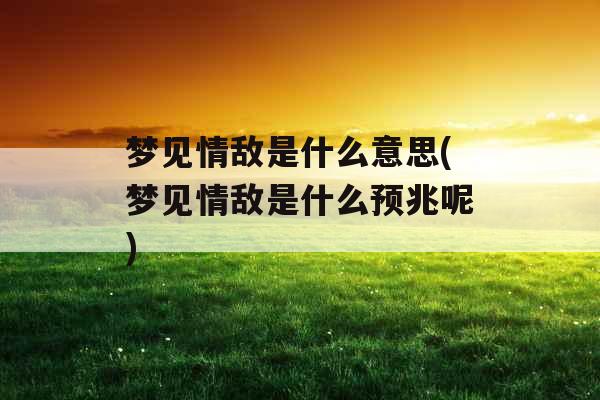 梦见情敌是什么意思(梦见情敌是什么预兆呢)