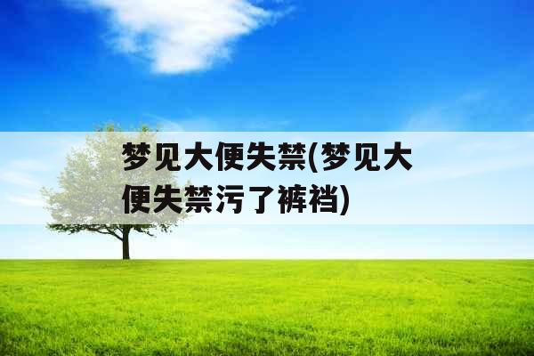 梦见大便失禁(梦见大便失禁污了裤裆)