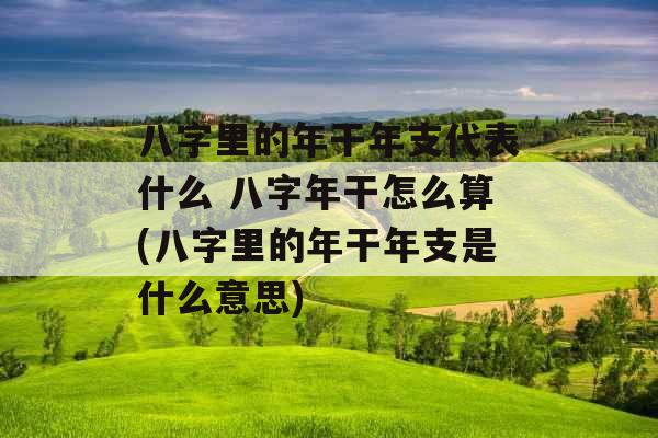 八字里的年干年支代表什么 八字年干怎么算(八字里的年干年支是什么意思)