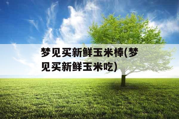 梦见买新鲜玉米棒(梦见买新鲜玉米吃)