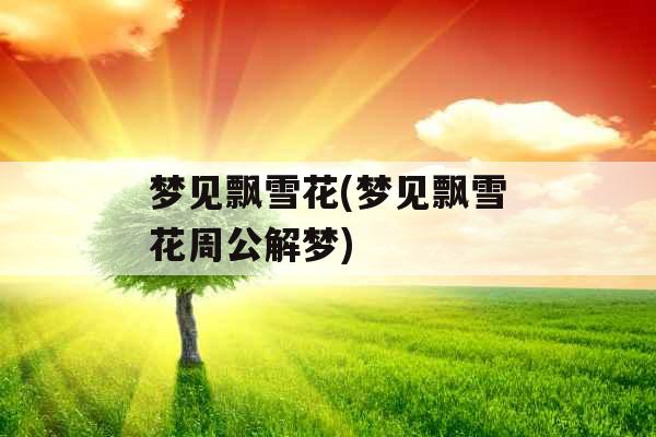 梦见飘雪花(梦见飘雪花周公解梦)