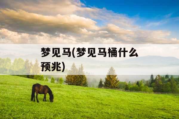 梦见马(梦见马桶什么预兆)