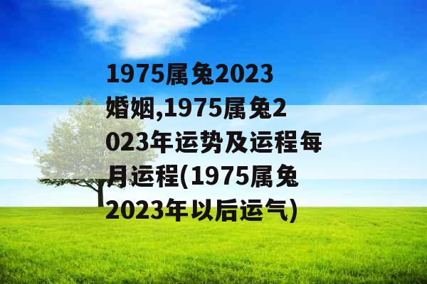 1975属兔2023婚姻,1975属兔2023年运势及运程每月运程(1975属兔2023年以后运气)