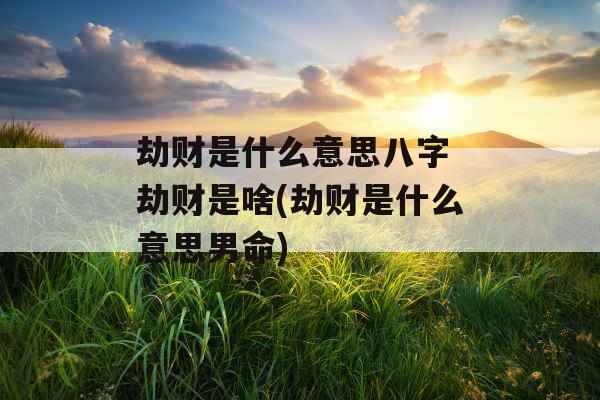 劫财是什么意思八字 劫财是啥(劫财是什么意思男命)
