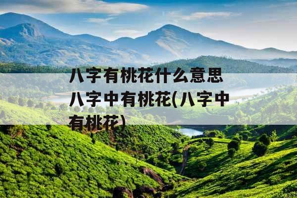 八字有桃花什么意思 八字中有桃花(八字中有桃花)