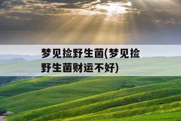 梦见捡野生菌(梦见捡野生菌财运不好)