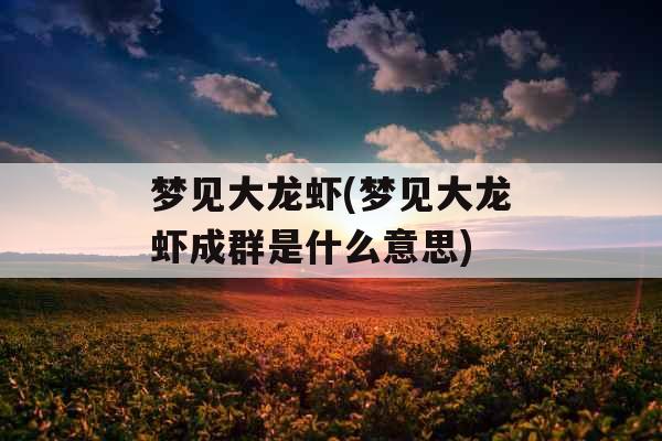 梦见大龙虾(梦见大龙虾成群是什么意思)