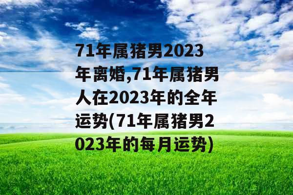 71年属猪男2023年离婚,71年属猪男人在2023年的全年运势(71年属猪男2023年的每月运势)