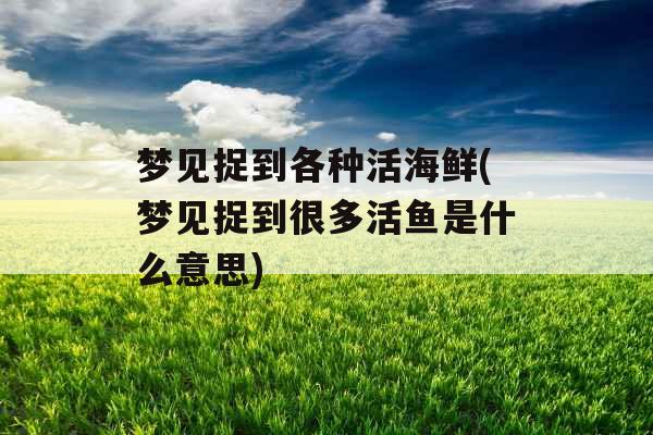 梦见捉到各种活海鲜(梦见捉到很多活鱼是什么意思) 梦见捉到各种活海鲜(梦见捉到很多活鱼是什么意思)