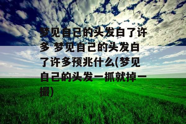 梦见自己的头发白了许多 梦见自己的头发白了许多预兆什么(梦见自己的头发一抓就掉一撮)