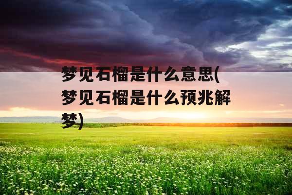 梦见石榴是什么意思(梦见石榴是什么预兆解梦)