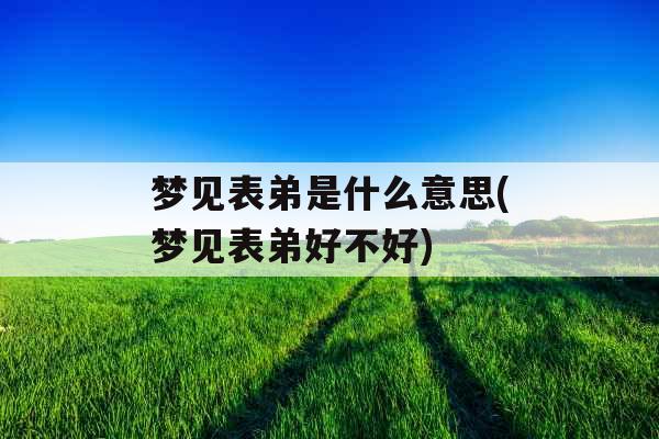 梦见表弟是什么意思(梦见表弟好不好)