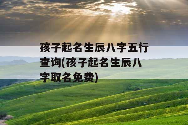 孩子起名生辰八字五行查询(孩子起名生辰八字取名免费)