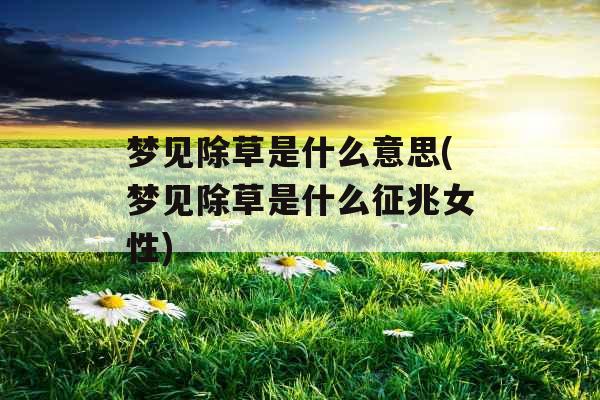 梦见除草是什么意思(梦见除草是什么征兆女性)