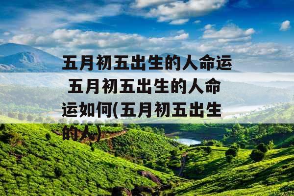 五月初五出生的人命运 五月初五出生的人命运如何(五月初五出生的人)