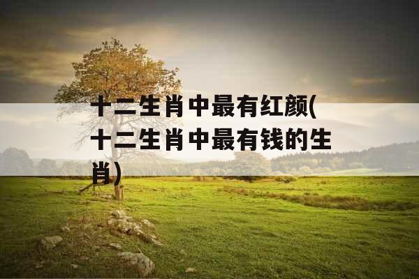 十二生肖中最有红颜(十二生肖中最有钱的生肖)